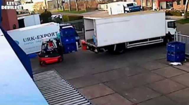 Αυτός ο άνδρας φόρτωνε ψάρια σε φορτηγό όταν ξαφνικά... (Vid)