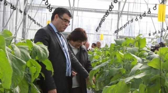 Αποζημιώσεις €17– 18 εκατ. στους αγρότες της Κύπρου