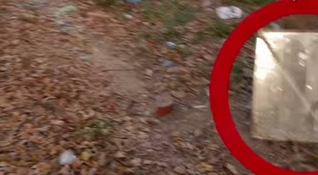 Βίντεο: Έκανε βόλτα σε πάρκο και είδε μια περίεργη μορφή από πίσω του!