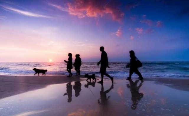 Μόρφωση και κοινωνικοποίηση εχθροί της γνωστικής εξασθένισης και της άνοιας!