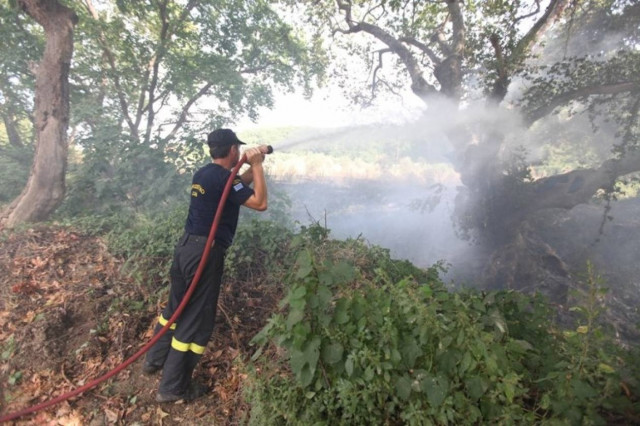 Υπό μερικό έλεγχο η φωτιά στο Πολυδένδρι Αγιάς
