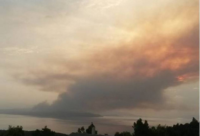 Μαλεσίνα: Εικόνες από τη μεγάλη πυρκαγιά που είναι σε εξέλιξη