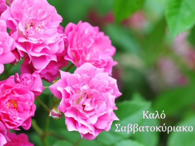 Τι λένε τα άστρα σήμερα, 28/6