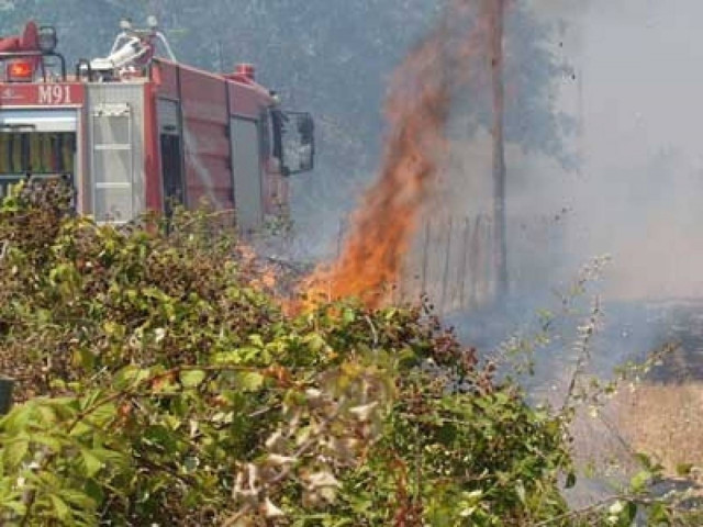 Υπό έλεγχο η πυρκαγιά στην Παιανία
