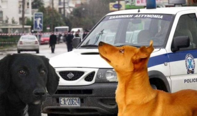 Συνέλαβαν τα σκυλιά μαζί με τους ιδιοκτήτες στην Πάτρα!