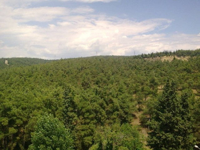 Θεσσαλονίκη: Ξεκινά η εθελοντική περιφρούρηση του Σέιχ Σου