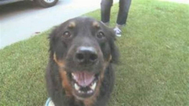 Μετά από 6 χρόνια το «μυστήριο» της χαμένης βέρας λύθηκε