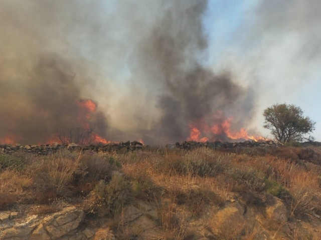 Σύρος: Έσβησε η φωτιά - Έκαψε ζώα και γη