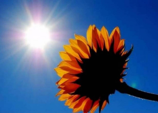 «Ανάσα» δροσιάς την Παρασκευή-Μικρή πτώση της θερμοκρασίας