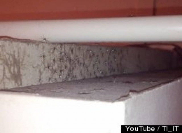 Βίντεο: Μετά από αυτό δεν θα θέλετε να ξαναμπείτε στο... ντους!