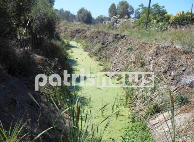 Αμαλιάδα: Κινδυνεύει η δημόσια υγεία στην περιοχή Μάρμαρα