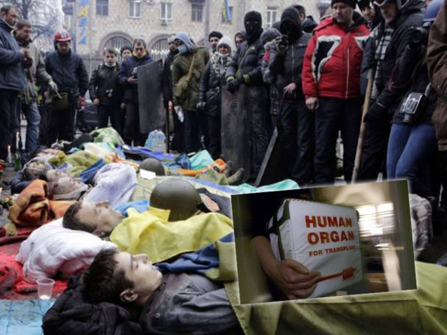 Δικηγόρος της Τιμοσένκο και Γερμανίδα γιατρός εμπορεύονται τα όργανα των Ουκρανών;