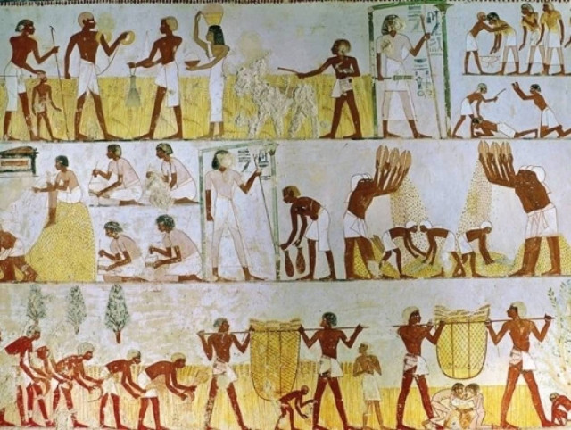 Απίστευτο: Δείτε τι έκαναν οι Φαραώ για να μην τους ενοχλούν οι μύγες!