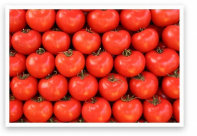 Μην βάζετε τις ντομάτες στο ψυγείο!