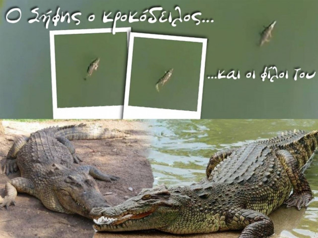 To γκρουπ του Σήφη του κροκόδειλου πρώτο θέμα στα δελτία ειδήσεων!