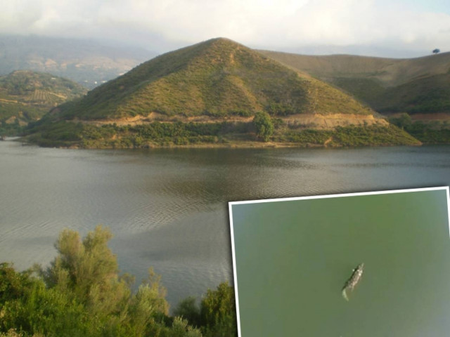 Υπάρχει και άλλος κροκόδειλος στο Ρέθυμνο (vids)