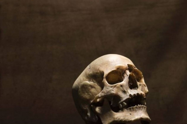 Νέα Υόρκη: Κοιμόταν και έτρωγε με τη νεκρή μητέρα της για τρία χρόνια!