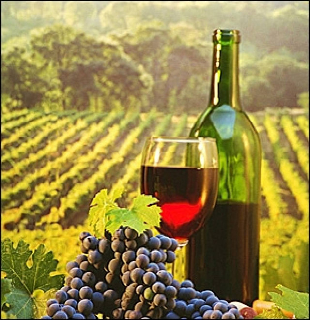 Ντοκιμαντέρ για το ελληνικό κρασί στο κρατικό κανάλι της Κίνας