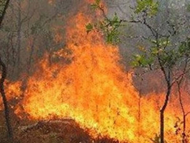Υπό έλεγχο η φωτιά στη Ιερά Μονή Αγάθωνος
