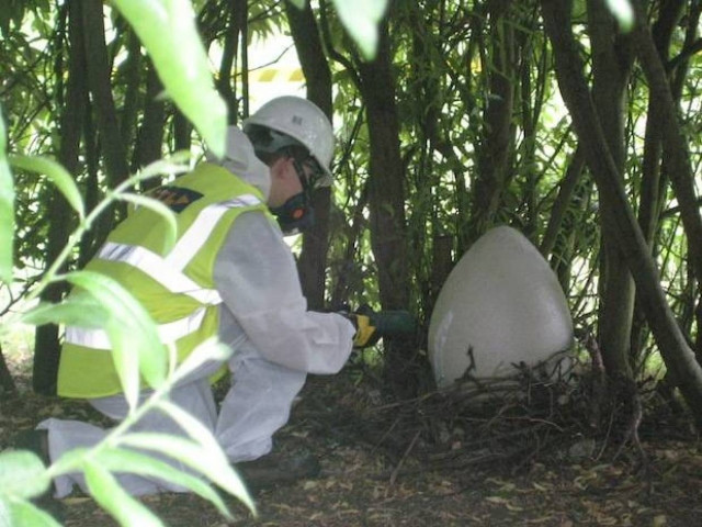 Εξωγήινο αυγό βρέθηκε σε σχολείο! (pic)