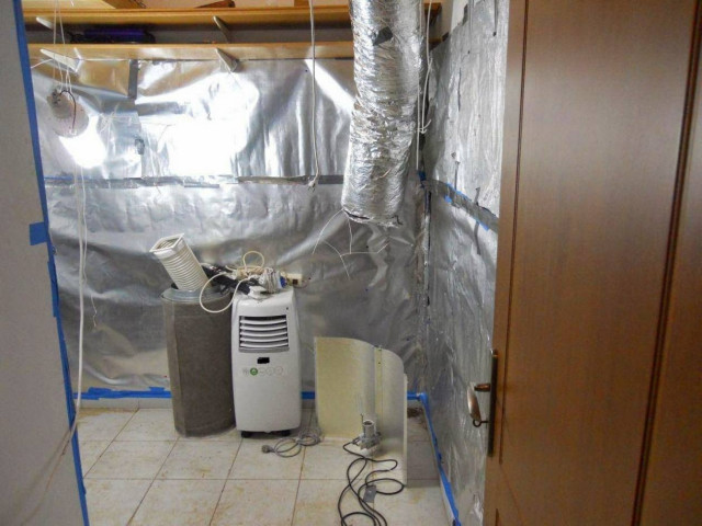 Εύβοια: Είχε μετατρέψει το σπίτι σε εργοστάσιο καλλιέργειας κάνναβης