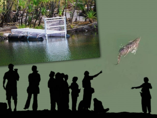 Ρέθυμνο: Ζητούν να μείνει ο «Σήφης», ο κροκόδειλος στη λίμνη για πάντα!