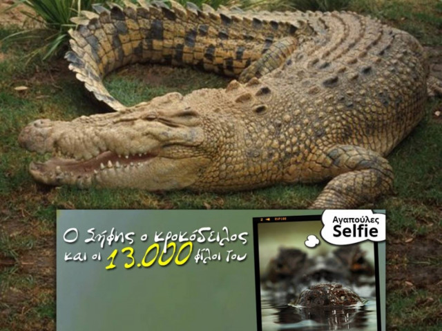 Οι μαντινάδες του Σήφη