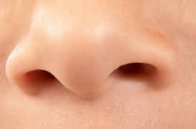 Φύτρωσε στην πλάτη της μία... μύτη!