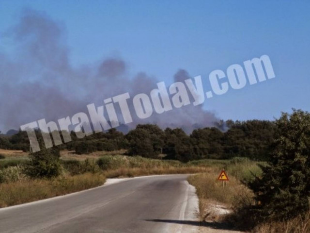 Ξάνθη: Σε εξέλιξη μεγάλη πυρκαγιά - Καίγονται τα Άβδηρα (vid)