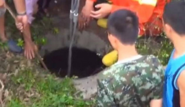 Ποιος κροκόδειλος; Δείτε τι βγήκε από αυτόν τον υπόνομο! (vid)