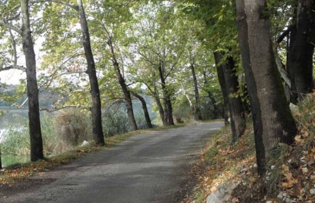 Καστοριά: Τη χτύπησε αυτοκίνητο και λίγο έλειψε να βρεθεί μέσα στη λίμνη