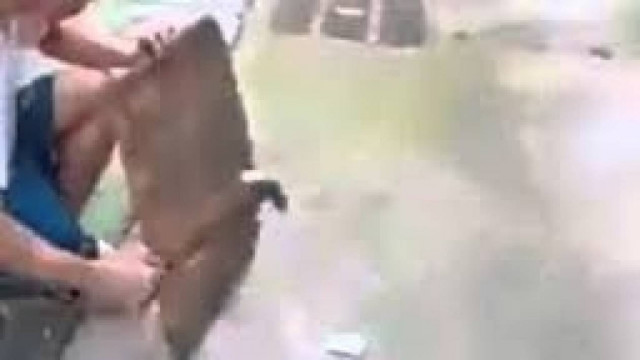 Δείτε τι θα γίνει αν χτυπήσετε με... σφυρί την μπαταρία κινητού! (pics+ video)