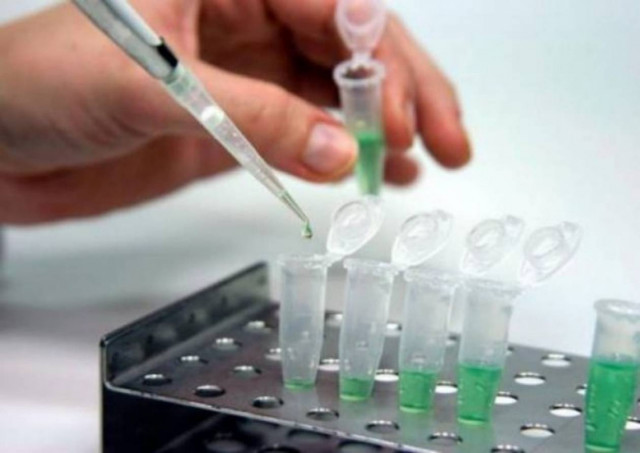 Τα μικρότερα ζώα παθαίνουν πιο εύκολα καρκίνο