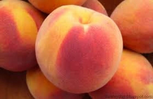 Αγρότες της Ημαθίας καταγγέλλουν αισχροκέρδεια στην τιμή ροδάκινου