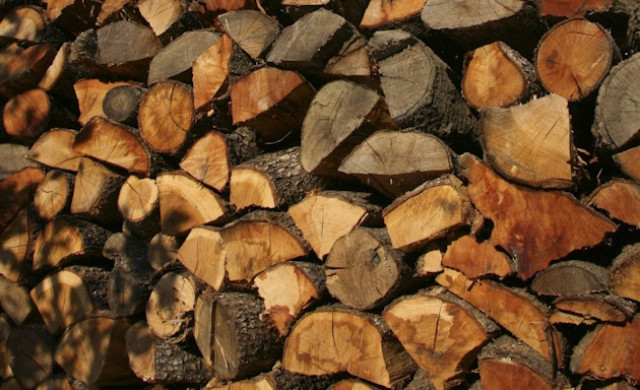 Πύργος: Κατασχέθηκαν 30 τόνοι καυσόξυλων