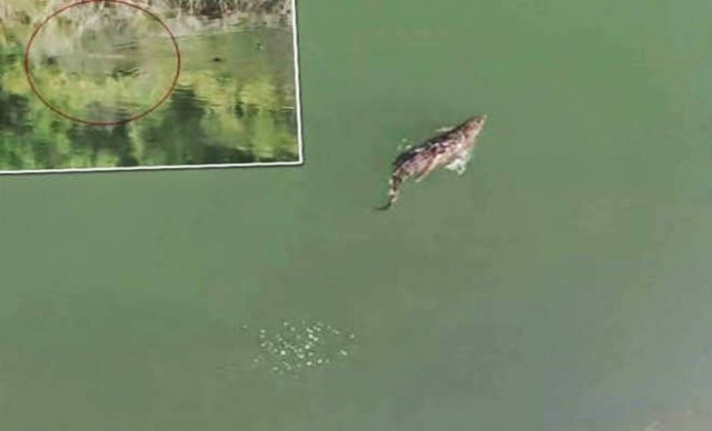 Ο Σήφης κόβει ακόμα βόλτες στη λίμνη