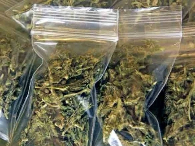 Σάλος στη Μυτιλήνη από τη σύλληψη 22χρονης - κόρης μεγαλοδημοσιογράφου