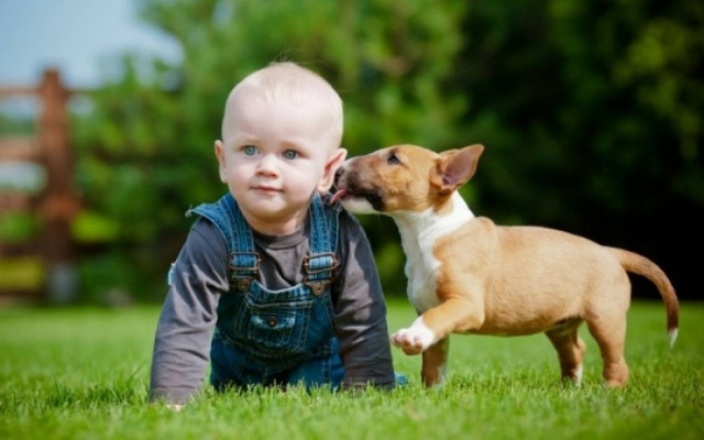 Φιλάτε το σκύλο σας; Δείτε τι μπορείτε να πάθετε