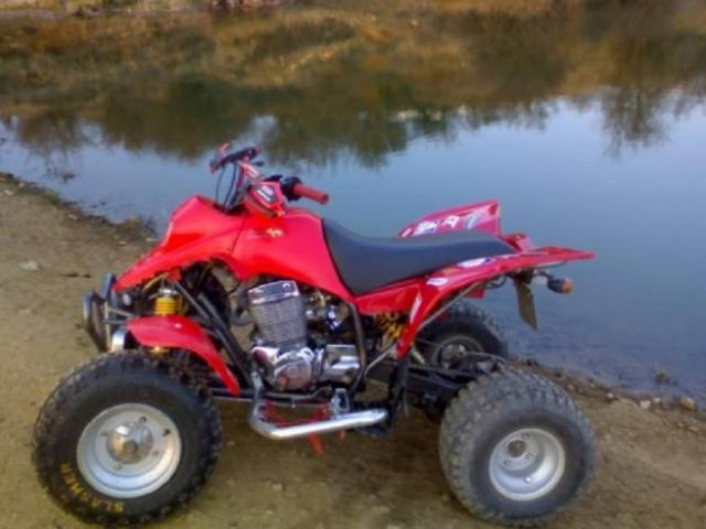 Τροχαίο με… γουρούνες και τρεις τραυματίες στο λιμάνι της Ίου