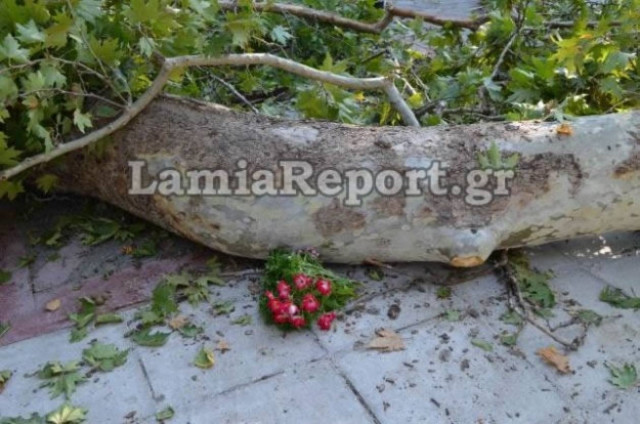 Θρηνεί το πανελλήνιο: «Δεν θα ξεχάσουμε αυτές τις εικόνες» λένε οι ντόπιοι (vid)