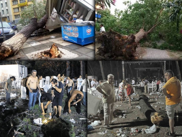 Προσοχή: τα δέντρα σκοτώνουν!