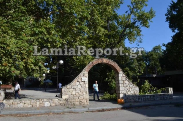 Λαμία: Ελεύθερος ο υπεύθυνος πρασίνου του Δήμου - Τι λέει ο Δήμος