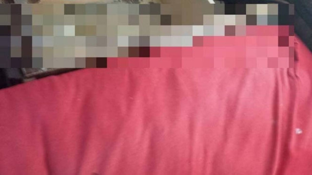 Κανείς δεν θα ήθελε να ξυπνήσει δίπλα σε κάτι τέτοιο… (pics)