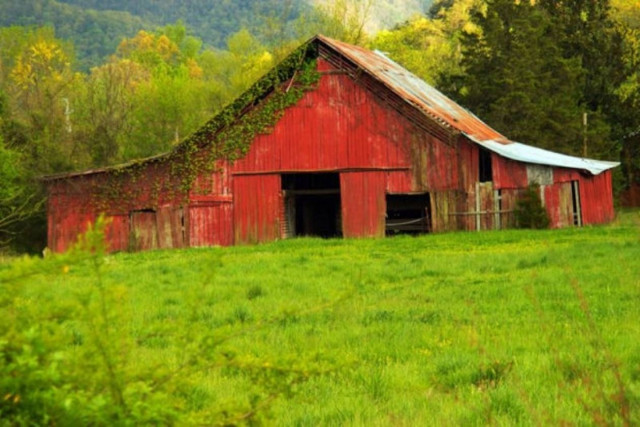 Πορτογαλία: Ο κλειδωμένος αχυρώνας έκρυβε θησαυρό! (photos)