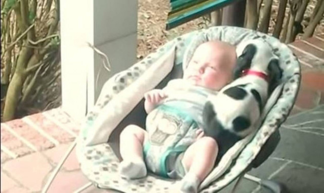 Αυτή είναι πραγματική φιλία! (video)