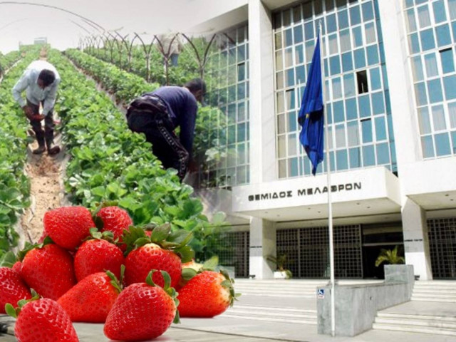 Παρέμβαση Εισαγγελίας Αρείου Πάγου στην υπόθεση της Μανωλάδας