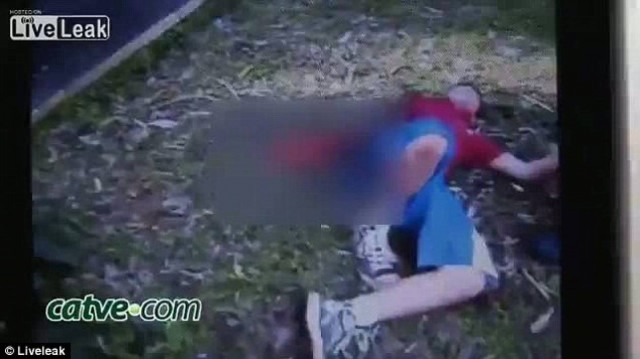 Τίγρης κατασπάραξε το χέρι 11χρονου! (pics+video)