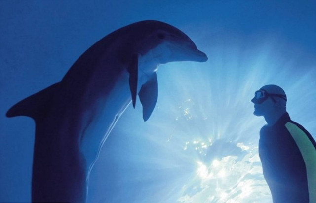 Δύτης κρατάει την αναπνοή του για 22 λεπτά (pics+vid)