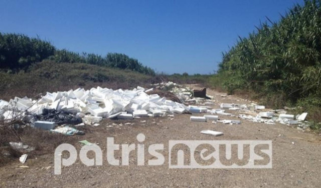 Πύργος: Σάπια ψάρια με τις ψαροκασέλες άδειασαν στη Μούτελη!