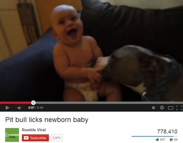 Σκύλος έκανε μπάνιο μωρό με τη... γλώσσα του!